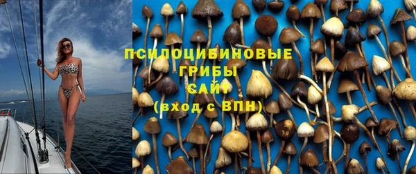 a pvp Алзамай