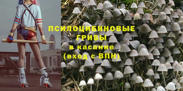 метадон Алексин