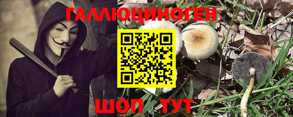 Псилоцибиновые грибы Cubensis  Апрелевка 