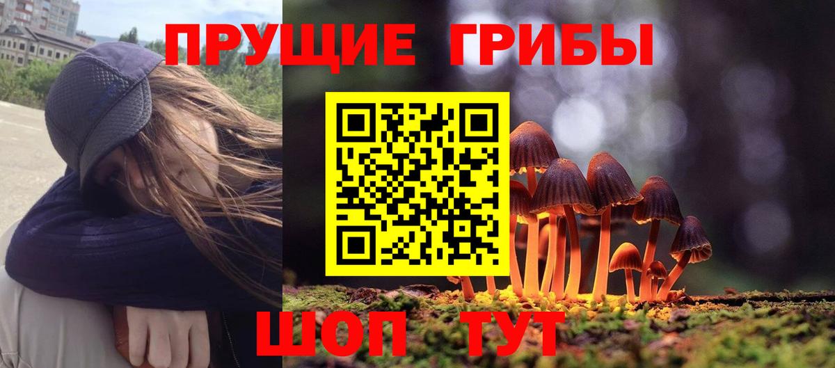 Псилоцибиновые грибы мухоморы Апрелевка
