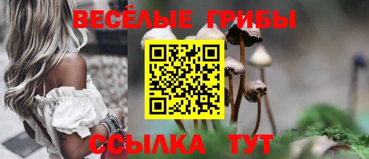Псилоцибиновые грибы ЛСД  Галлюциногенные грибы прущие грибы  Апрелевка  купить наркоту  Вход с VPN 